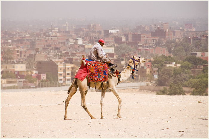 Египет. Наездник на верблюде