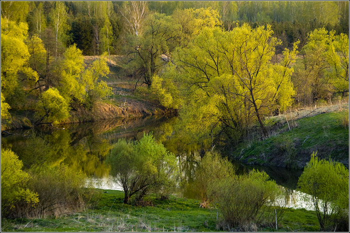 Река Осётр