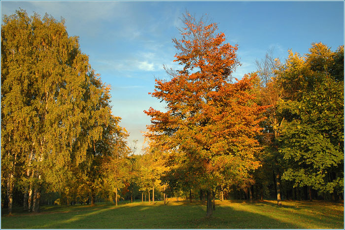 Осенний пейзаж  в Парке Победы