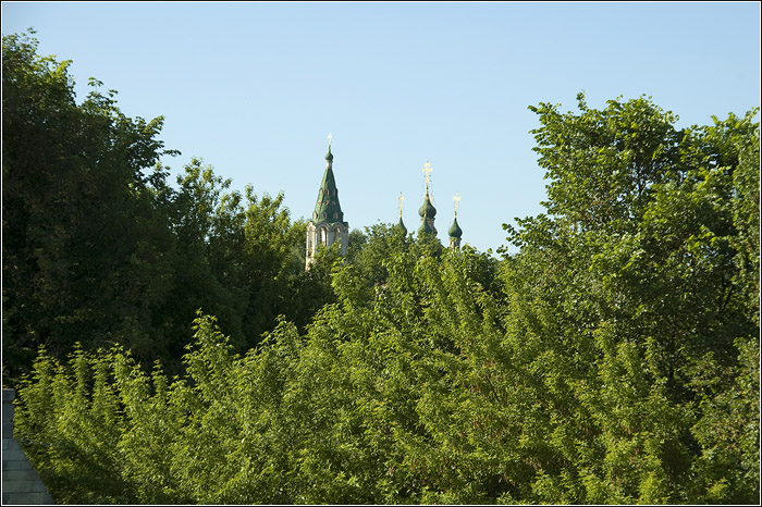 Серпухов. Троицкая церковь в листве.